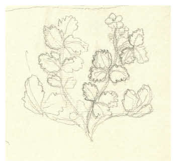 Visualizza l'immagine "FD D 1866"